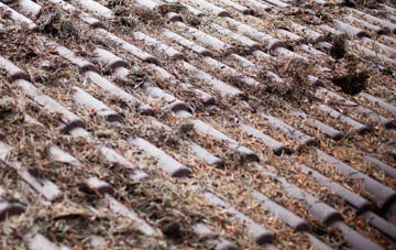 Brea roof cleaning companies